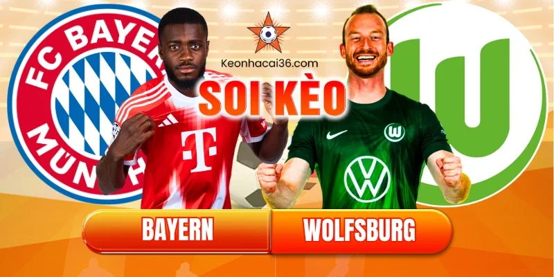 Soi kèo Bayern vs Wolfsburg (23:30, 11/01): “Hùm Xám” Mở Tiệc