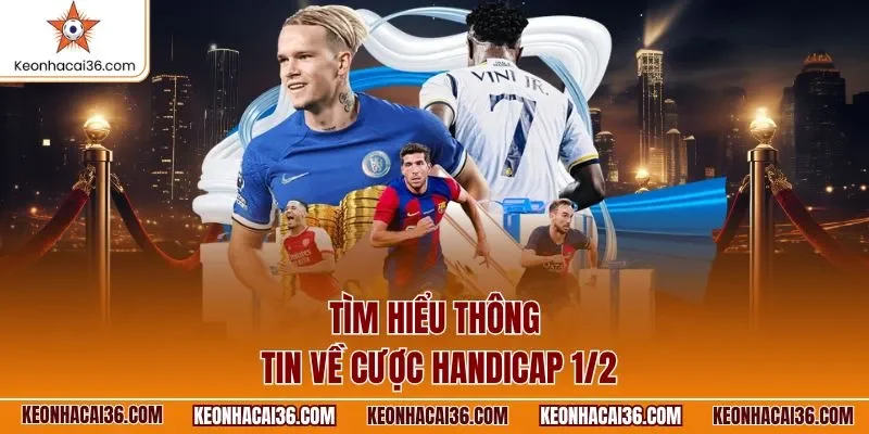 Tìm hiểu thông tin về cược Handicap 1/2